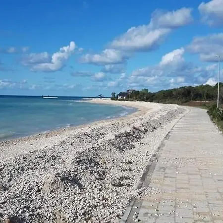 Apartament Olive Garden