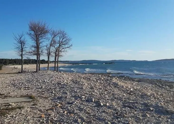 아파트 Olive Garden 보드냔