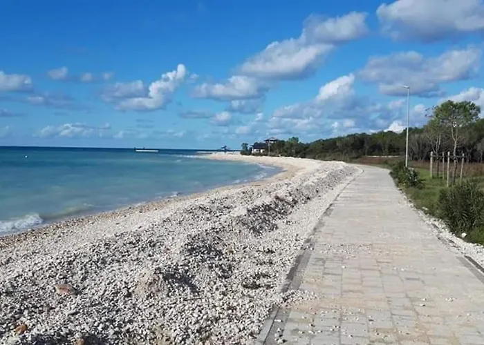 Apartman Olive Garden